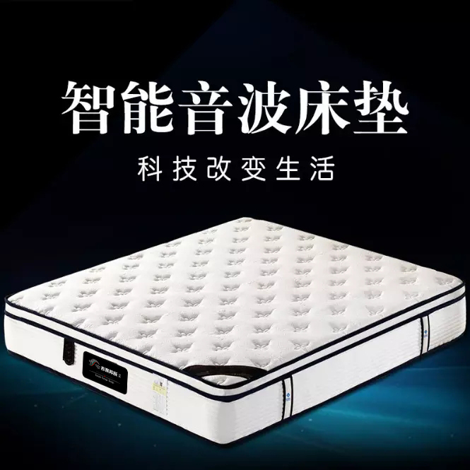 吉賽邦辰