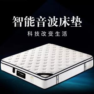 吉賽邦辰