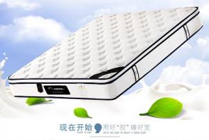 吉賽邦辰